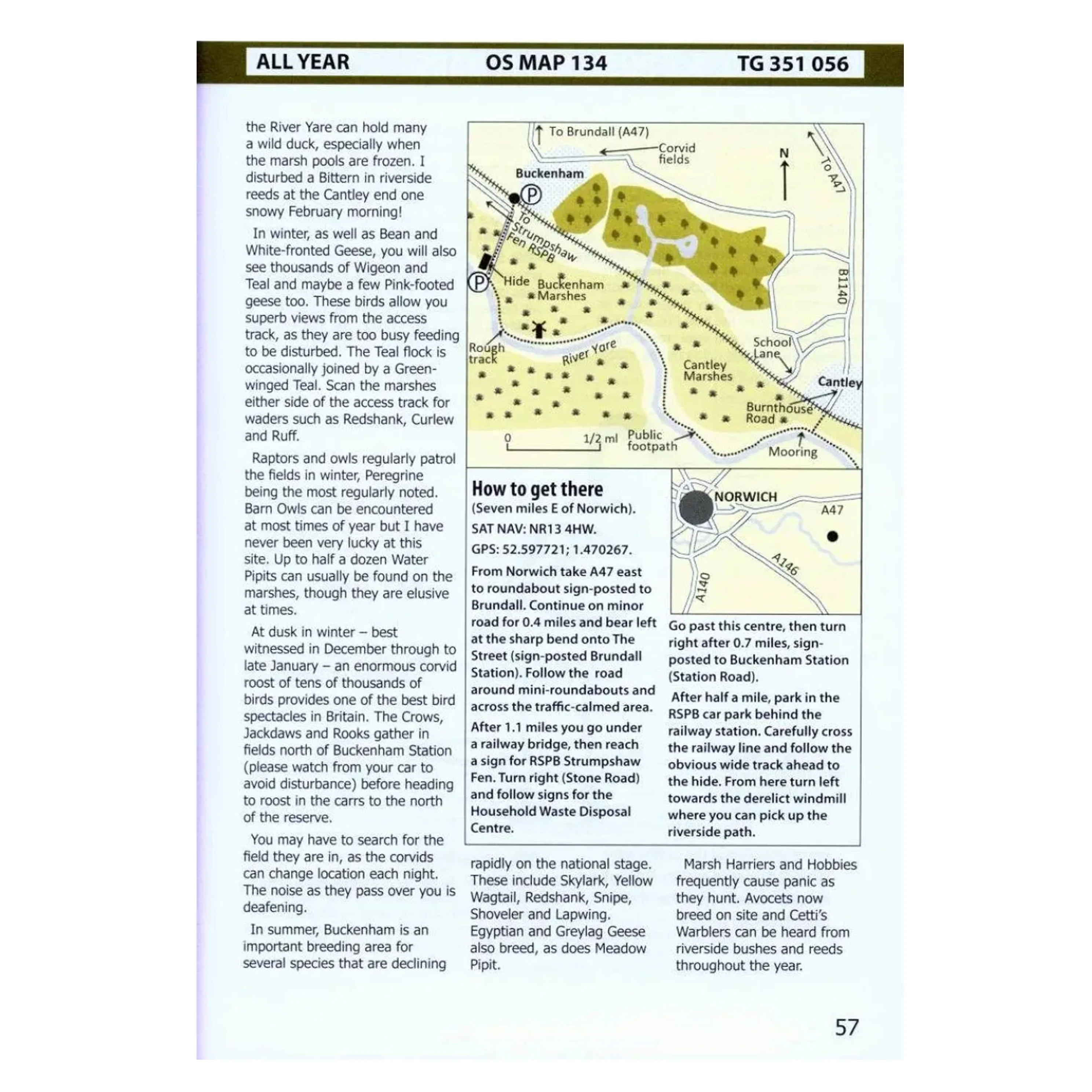 Best Birdwatching Sites: Norfolk - Image 3