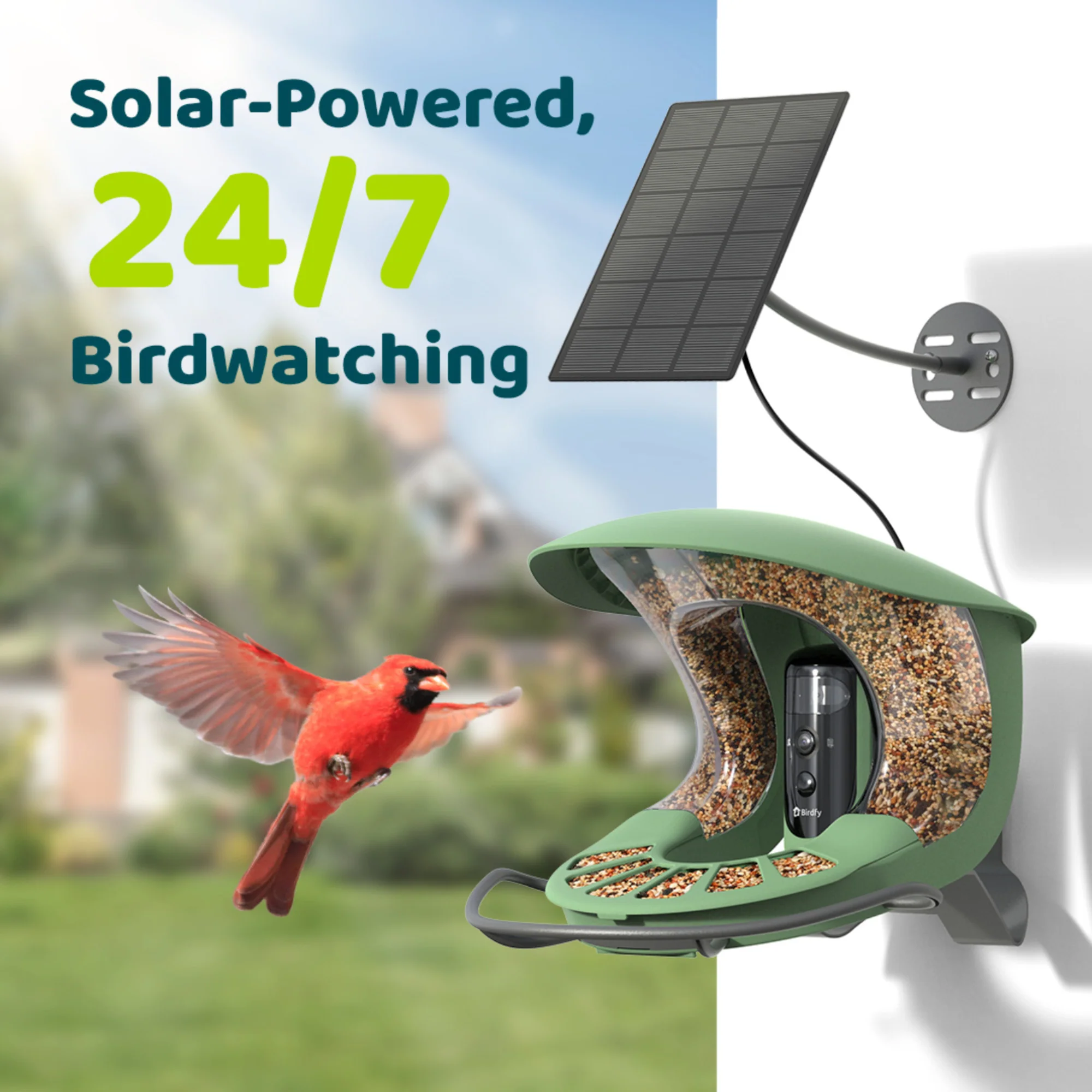 Birdfy feeder 2 Pro AI with Solar - Image 10