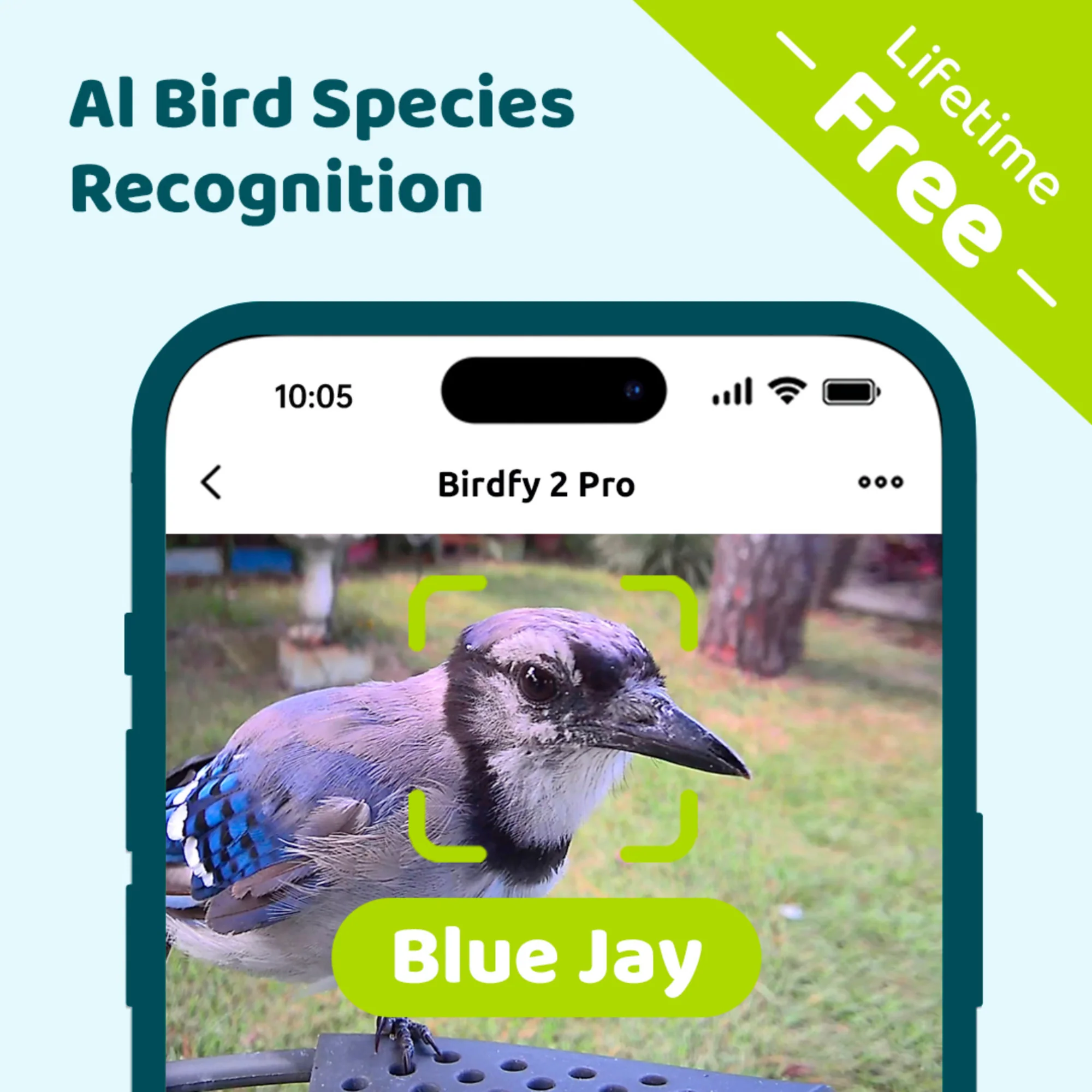 Birdfy feeder 2 Pro AI with Solar - Image 8