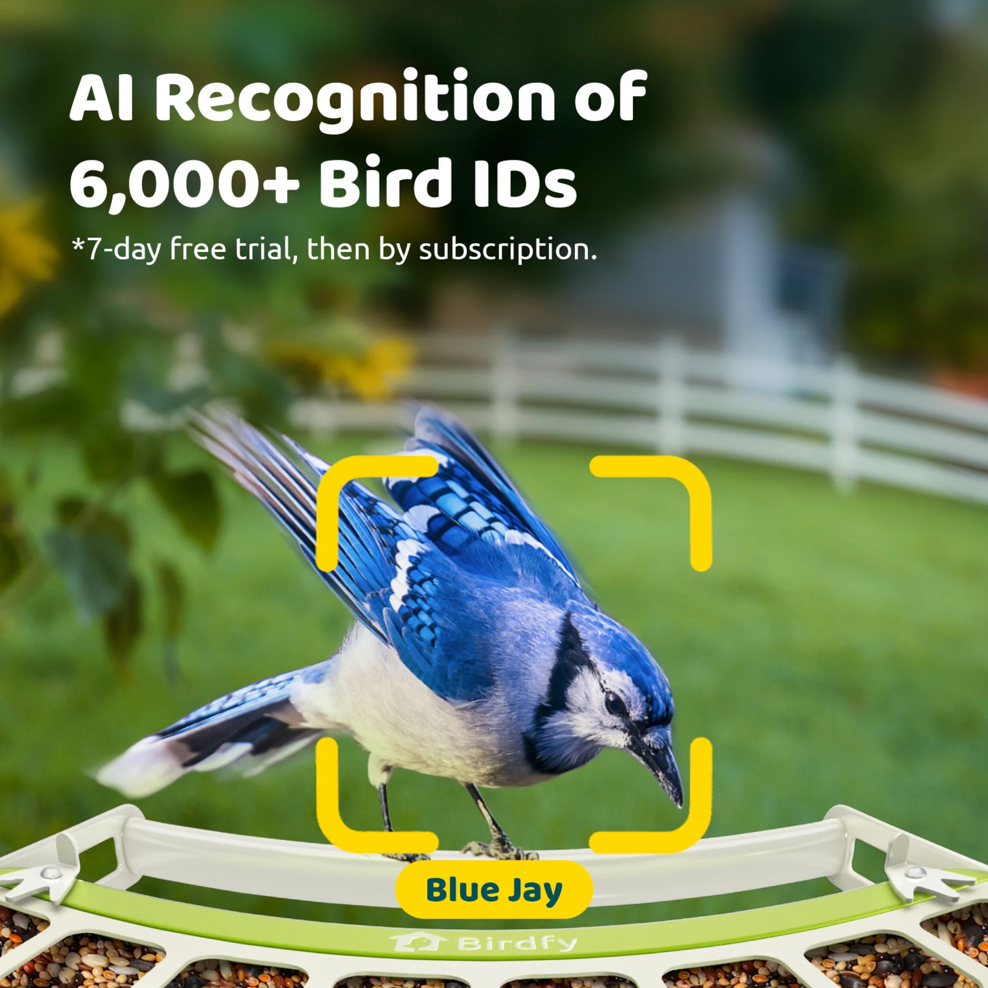 Birdfy feeder metal with AI - Image 4
