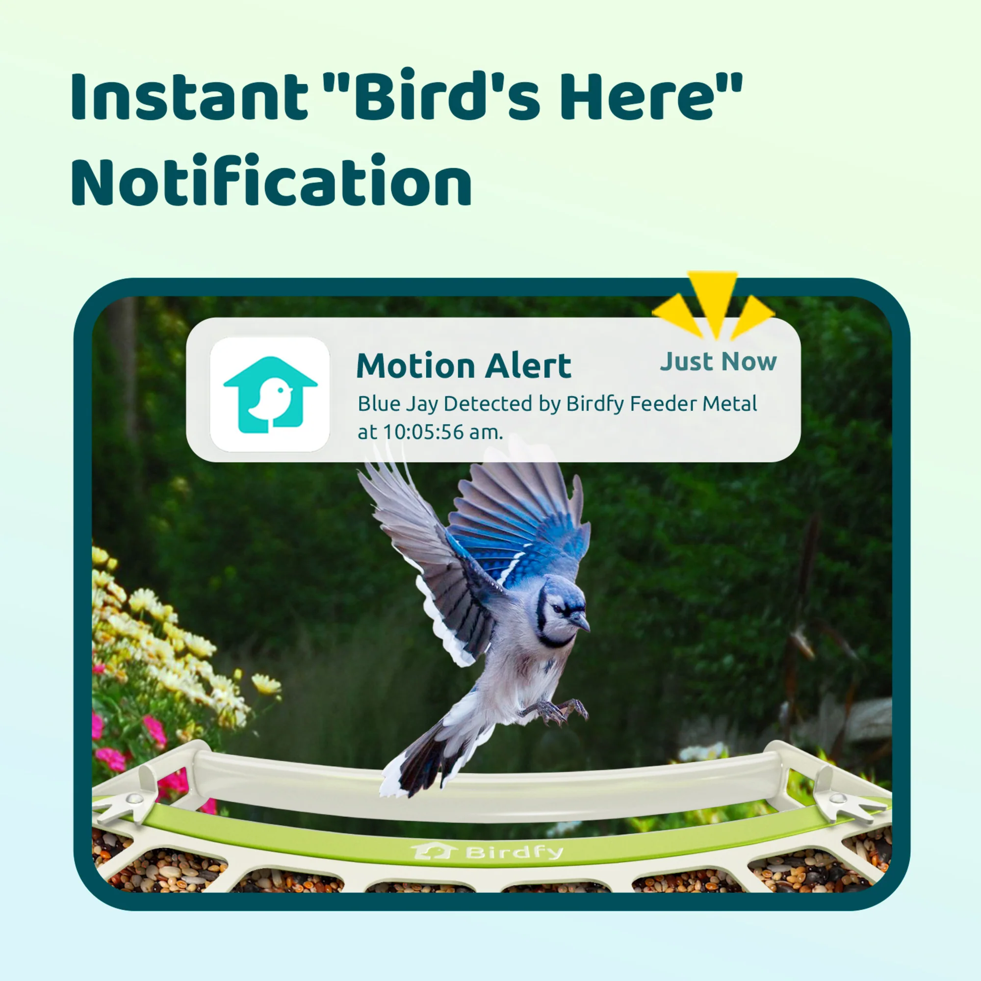 Birdfy feeder metal with AI - Image 5