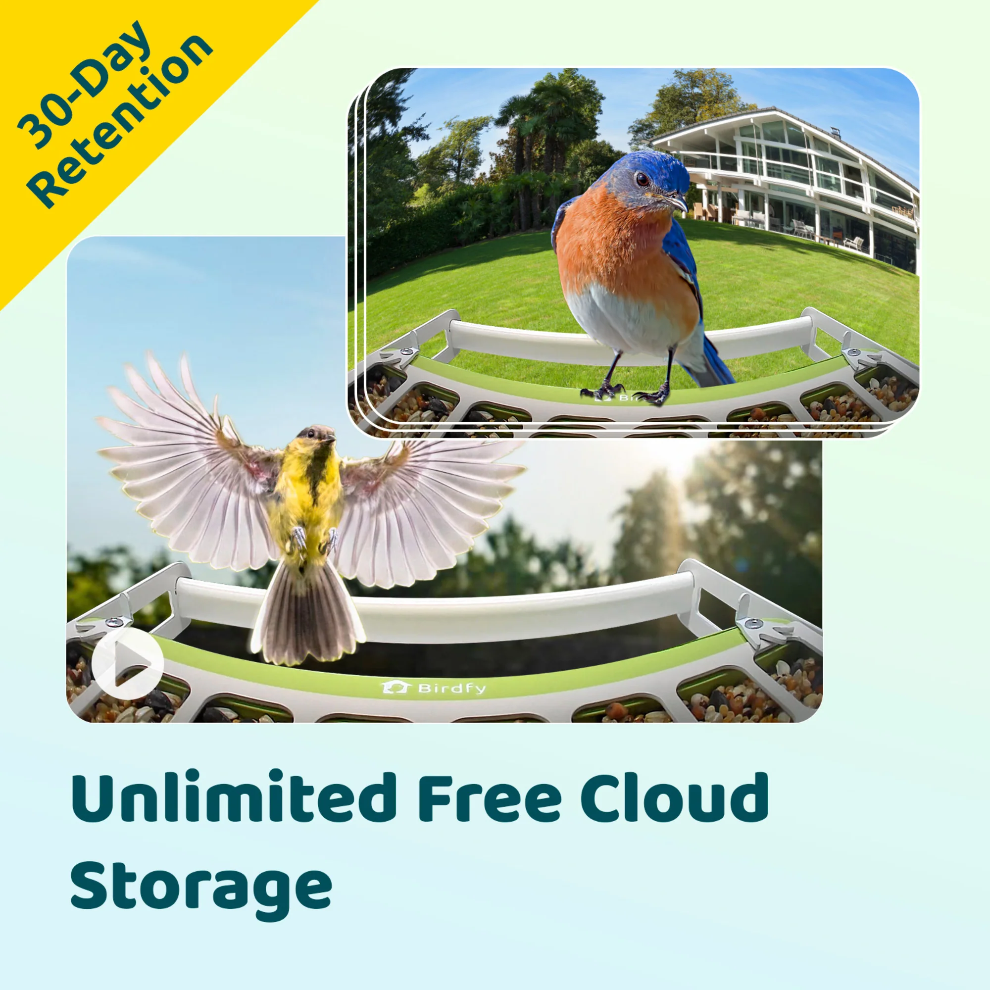 Birdfy feeder metal with AI - Image 6