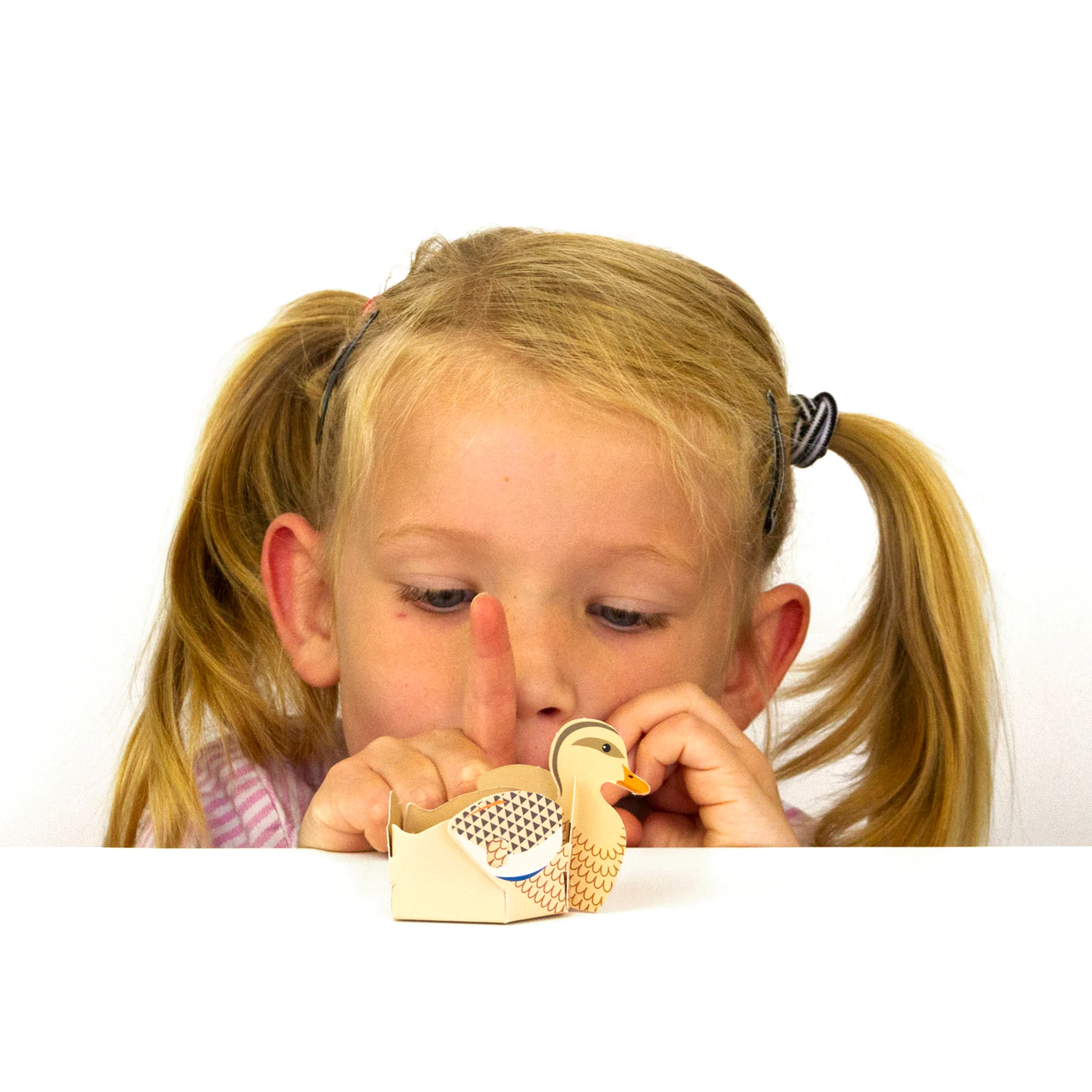 Create your own blow ducks - Image 3