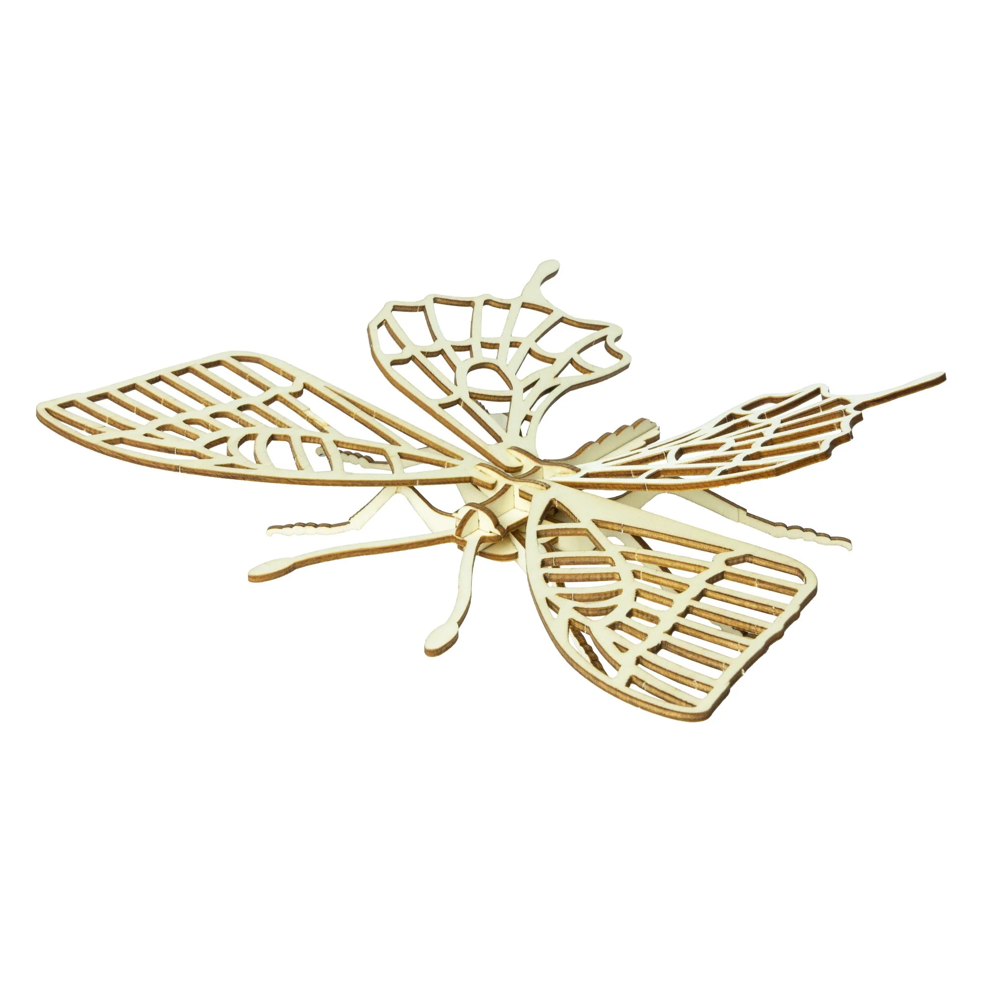 Build a bug kit - Image 4