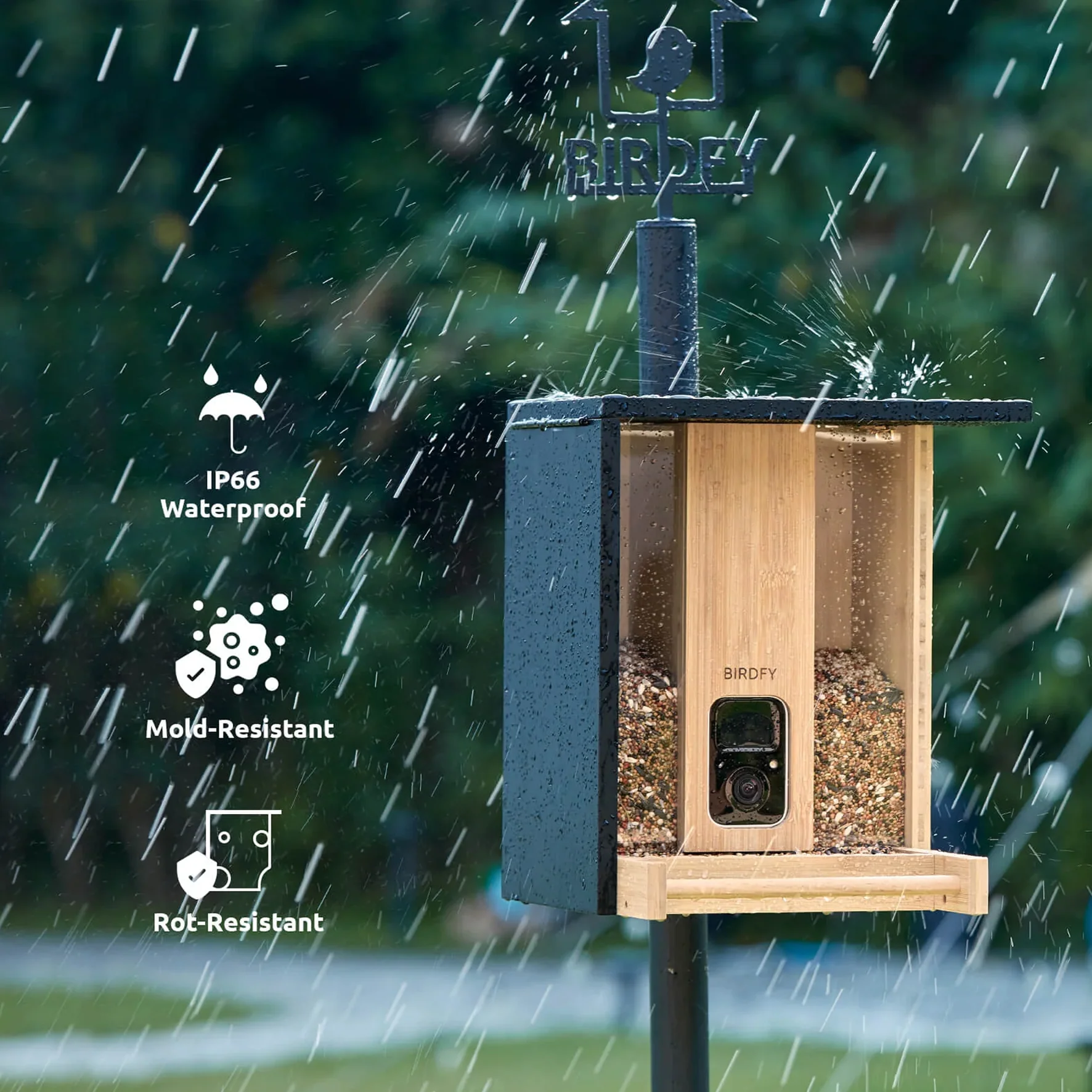 Birdfy bamboo feeder camera with solar - Feed, watch and record birds - Image 4