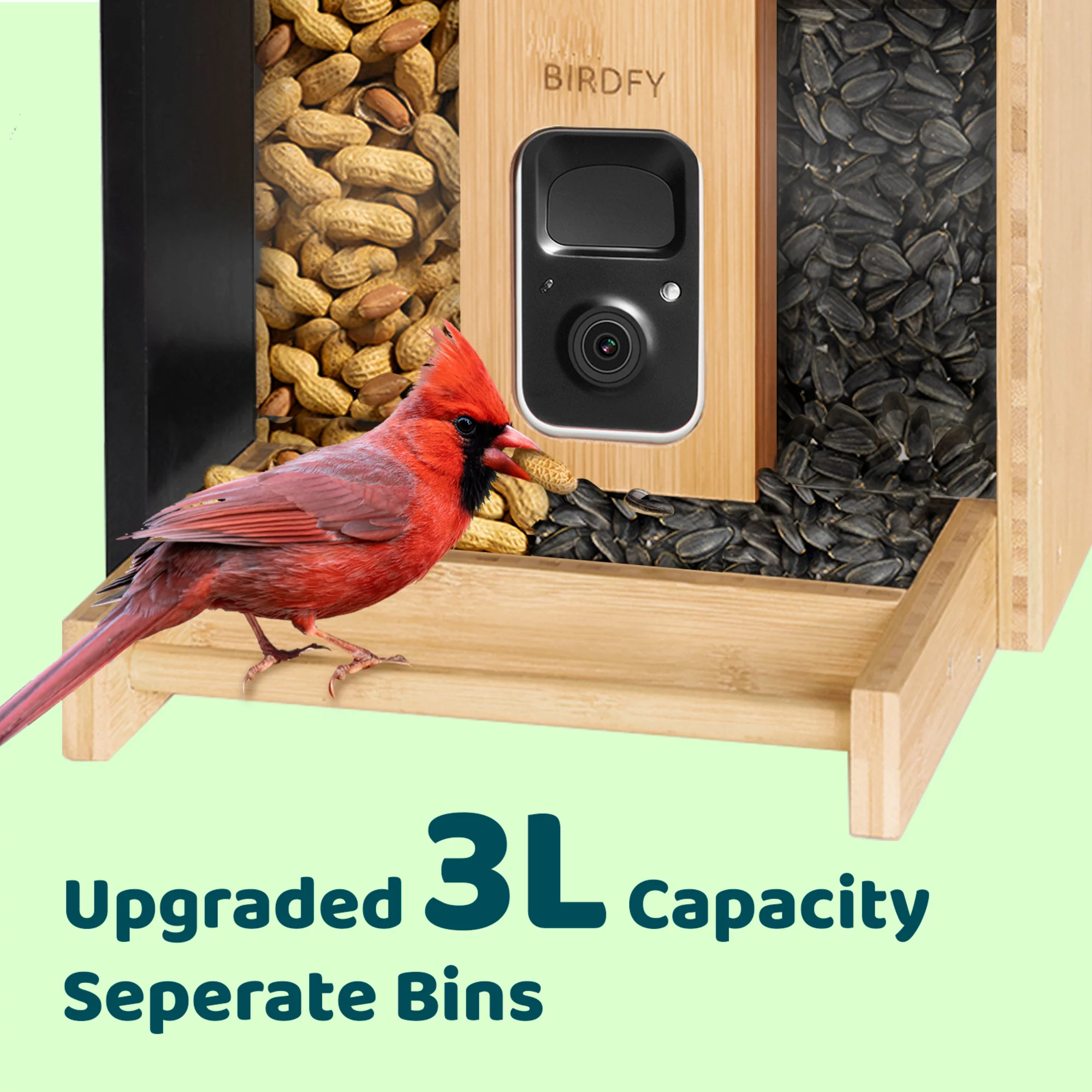 Birdfy bamboo feeder camera with solar - Feed, watch and record birds - Image 5
