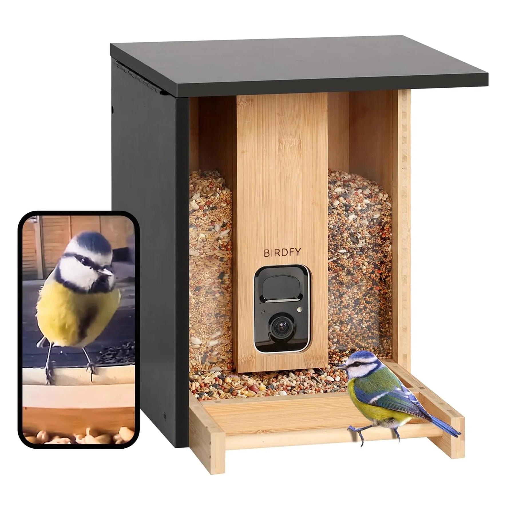 Birdfy bamboo feeder camera with solar - Feed, watch and record birds - Image 9