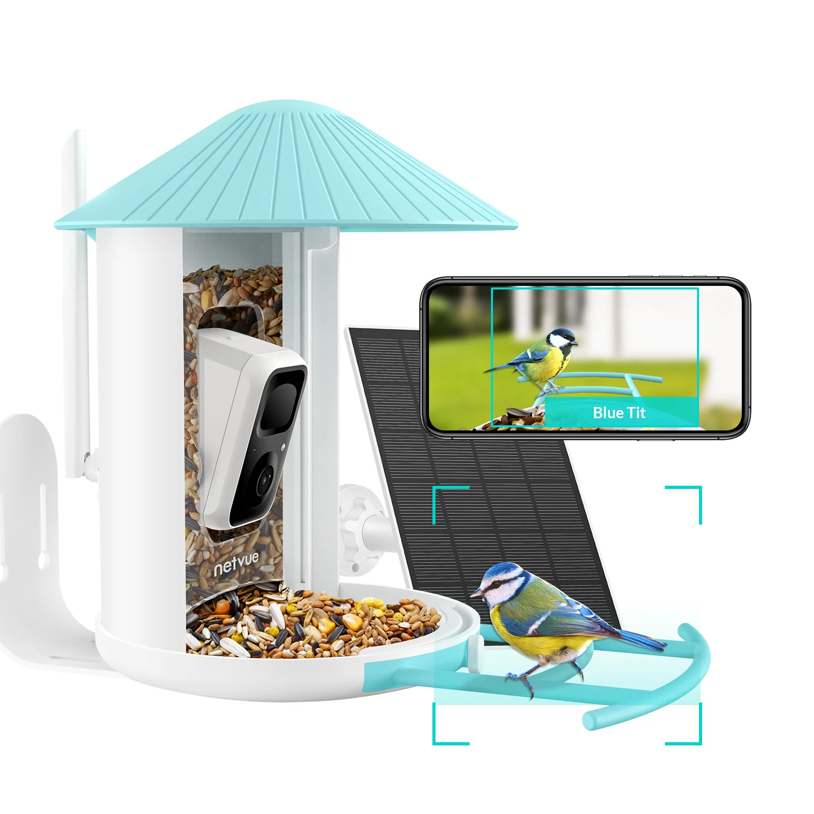 Birdfy feeder AI Lifetime with solar - Feed, watch and record birds - Image 10