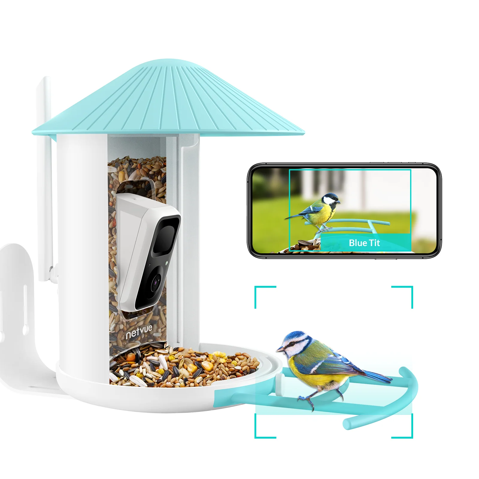 Birdfy feeder AI Lifetime with solar - Feed, watch and record birds - Image 11