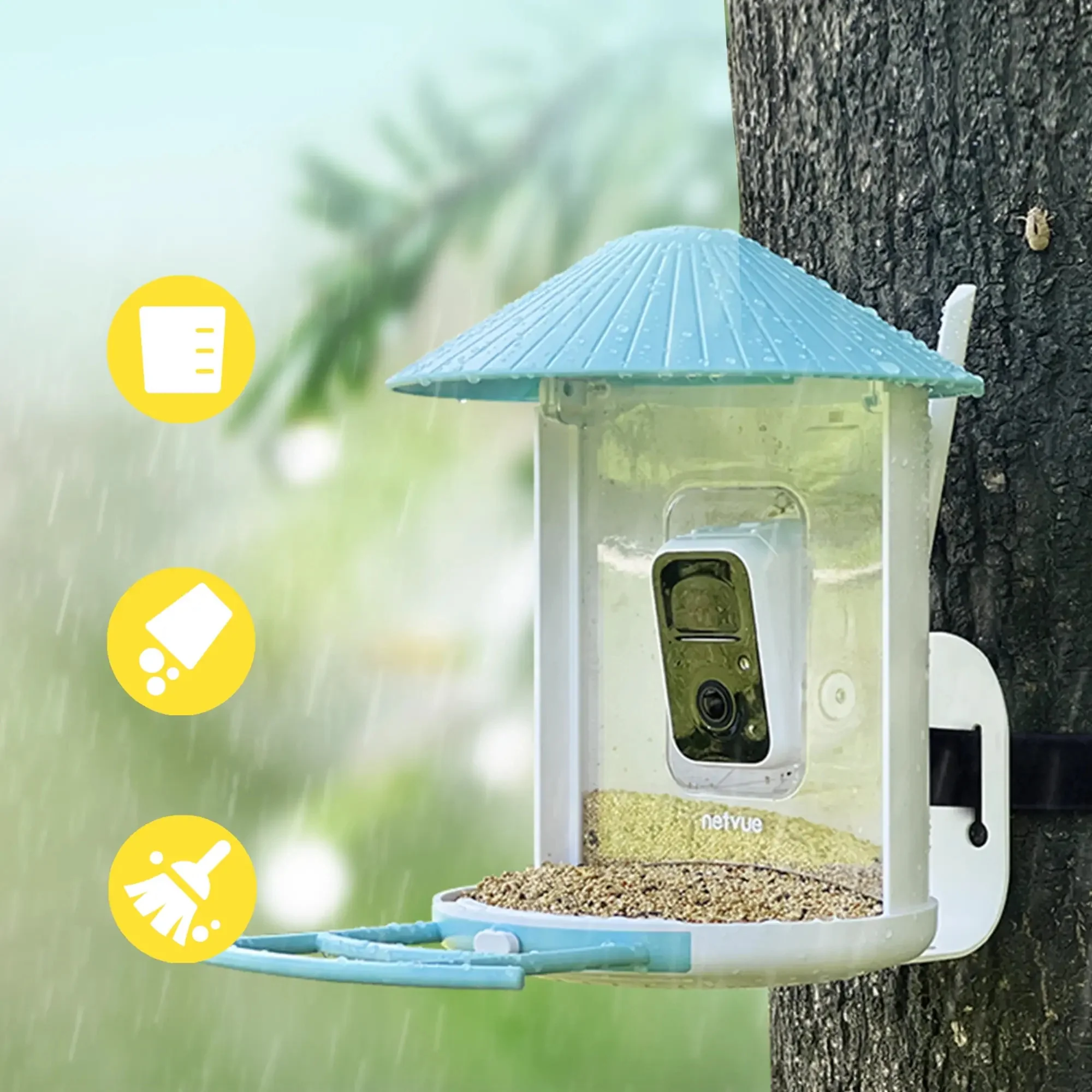 Birdfy feeder AI Lifetime with solar - Feed, watch and record birds - Image 3