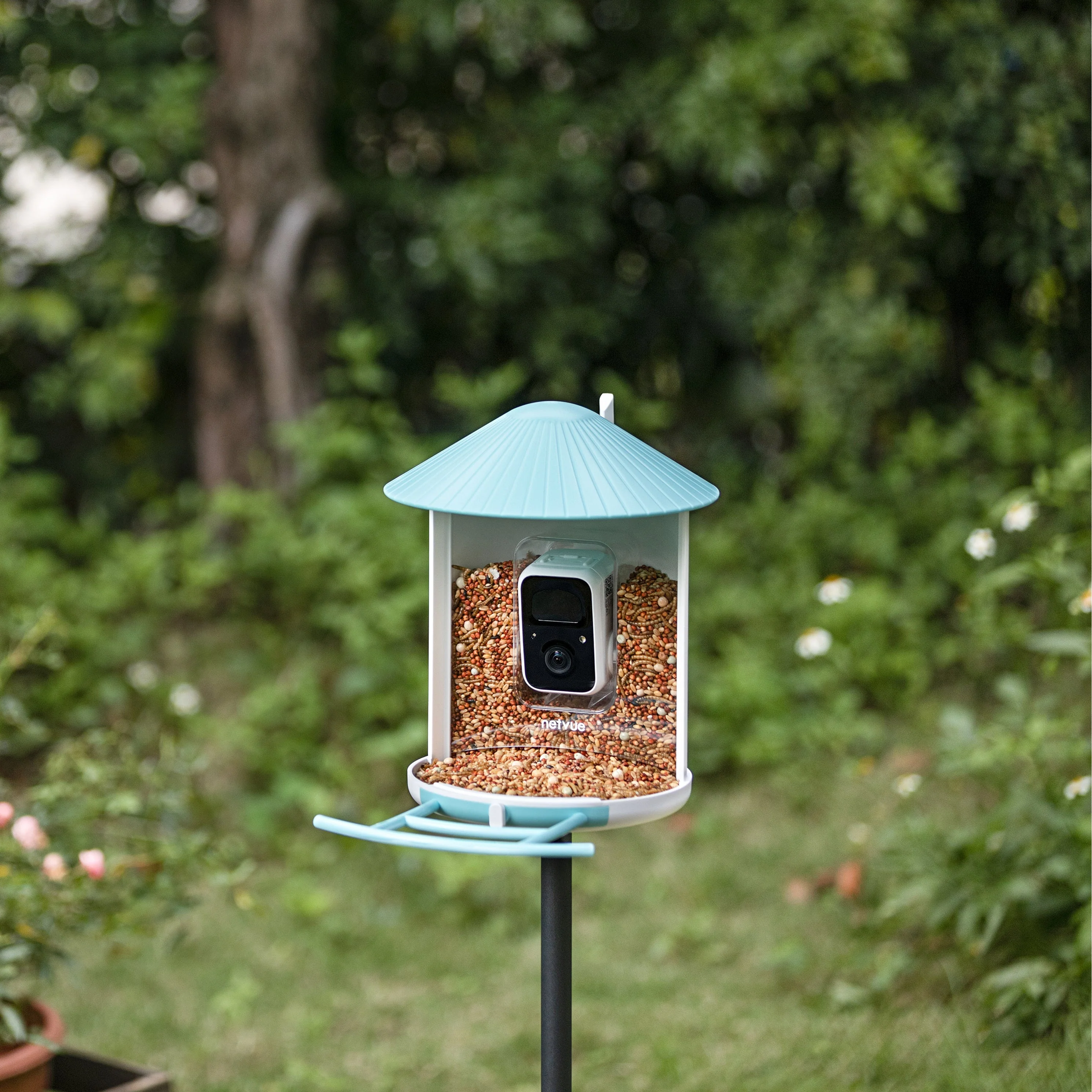 Birdfy feeder AI Lifetime with solar - Feed, watch and record birds - Image 4