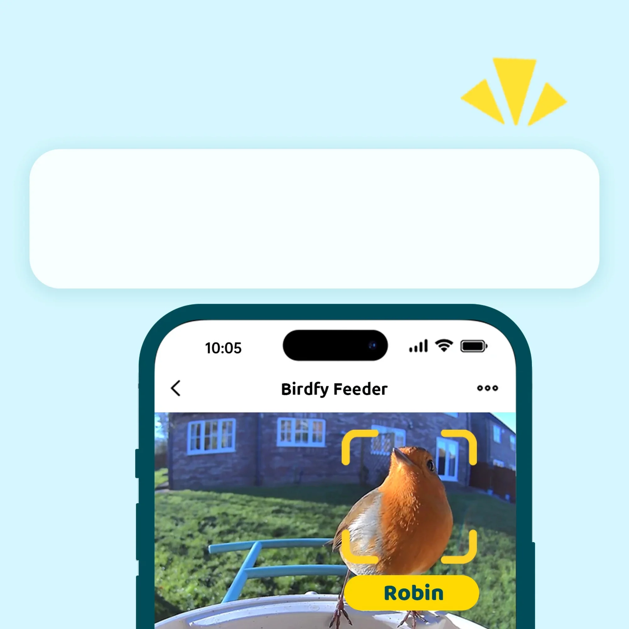 Birdfy feeder AI Lifetime with solar - Feed, watch and record birds - Image 5