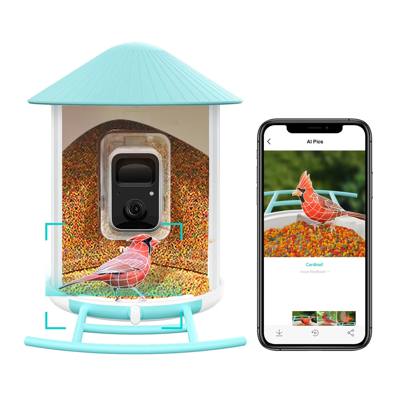 Birdfy feeder AI Lifetime with solar - Feed, watch and record birds - Image 7