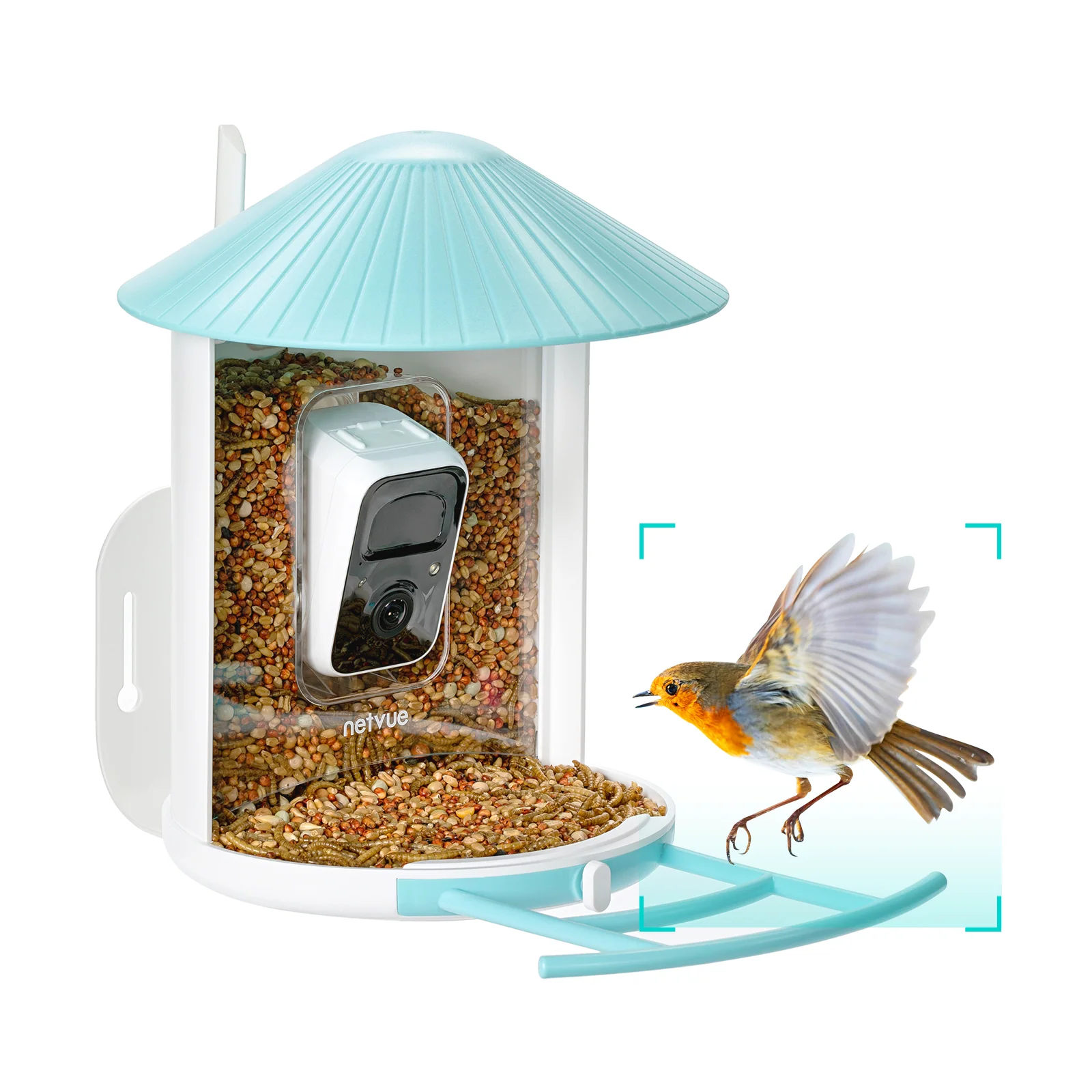 Birdfy feeder AI Lifetime with solar - Feed, watch and record birds - Image 9