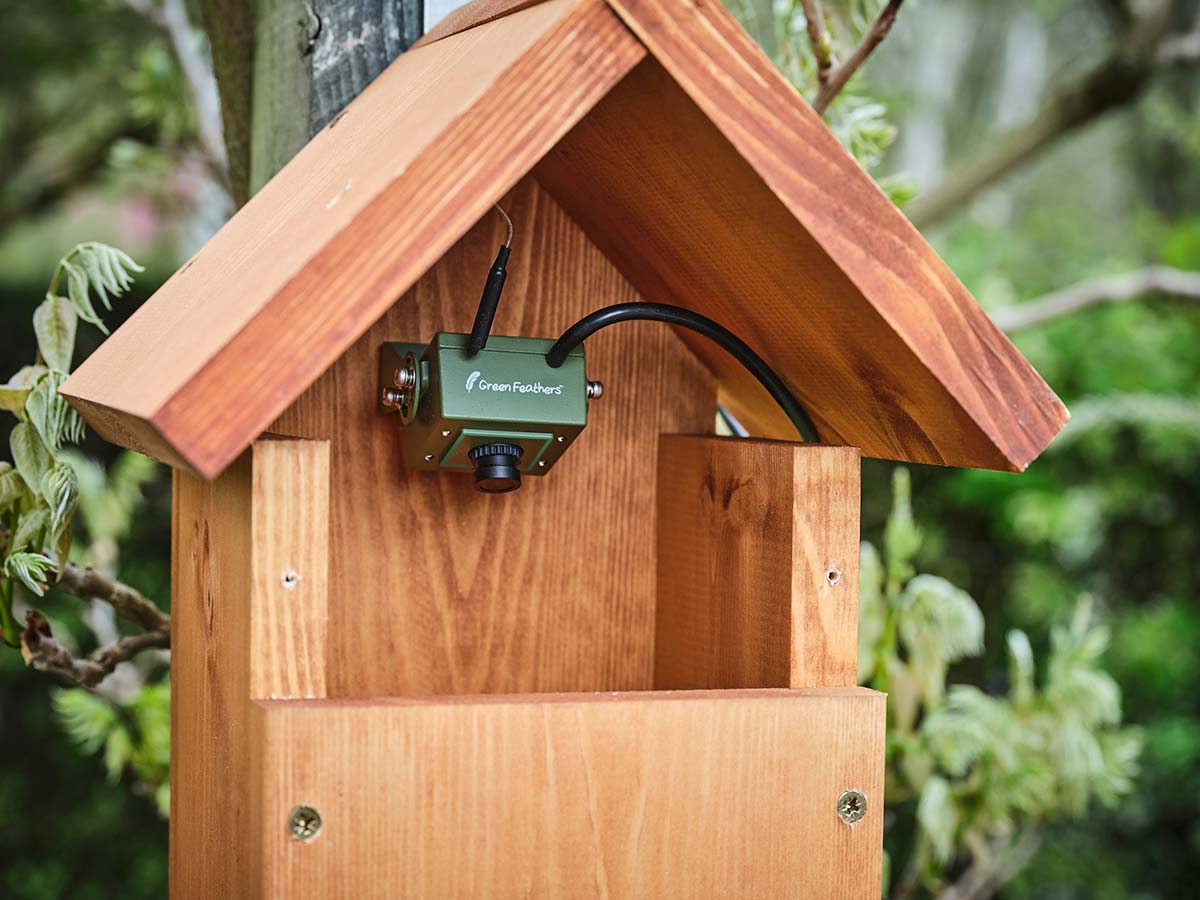 WiFi bird box & wildlife habitat HD camera - Image 8